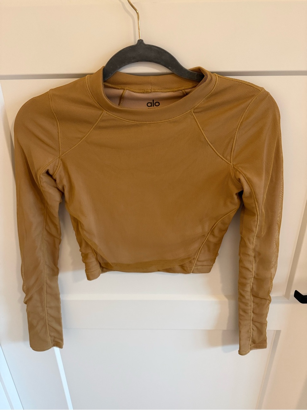 Alo Yoga Vision Long Sleeve Mesh Crop Top Caramel Latte XS